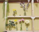 おうちが華やぐ、お花の飾り方お教えます お花を飾ってみたいけどどんな花を選べばいいかわからない方に。 イメージ4