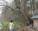 心のモヤモヤをお聞きしクライアントの傾聴しています 話したいことを話していただき、スッキリできれば嬉しいです。 イメージ2