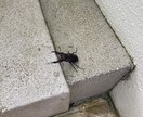 どんな相談でも承ります 人、仕事、お金、恋愛なんでもご相談ください！ イメージ5