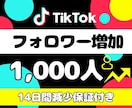 TikTokフォロワー1,000人増やします 高品質・多国籍フォロワー・14日減少保証・複数数量対応 イメージ1