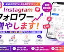 Instagramのフォロワー増やします Instagramのフォロワー+ イメージ1