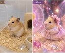 ペット写真をAIで世界観のある一枚に仕上げます 大切な思い出を､世界にひとつだけの1枚へ イメージ4