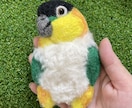 羊毛フェルト大きめオウムブローチオーダー作製します 大きめでインパクト＆高級感迫力があり、リアルで可愛いです イメージ2
