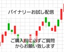 バイナリー2週間お試し配信・限定25名様にしてます バイナリー2週間お試し配信をしています イメージ1
