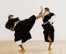 世界３位が◯〇寺拳法の演武を動画を見て指導します 過去に世界大会に入賞した経歴を活かし、動画を見て指導します。 イメージ1