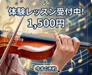 ヴァイオリン体験レッスン！大募集します 5名限定モニター価格！指導歴11年目の講師がサポート イメージ1