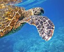 オーラの色であなたの恋愛をリーディングします 彼の気持ちが知りたい復縁できる？私はどのように変わればいい？ イメージ9