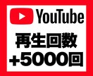 YouTubeの再生回数を+5,000回増加します 安心★安全｜60日保証｜増加支援｜拡散｜振分可｜匿名評価可 イメージ1