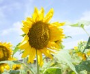 どんな暴言も受け止めます 人に言えない愚痴や暴言を遠慮なく。さっぱりした気持ちに イメージ1