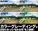 撮影意図に沿って、カラーグレーディングを行います 映像を“なんかいい感じ”にしてみませんか？ イメージ3