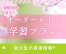 東大・塾講師があなただけのカリキュラムを作成します 予備校なし！市販の参考書を使った東大合格の知見を活かします！ イメージ1