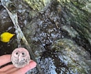 短時間でもOK‼︎隙間時間にサクッと占います 不安な気持ち、モヤモヤしたきもちサクッと解消しましょう イメージ4