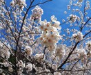 一眼レフで撮影した風景画等を提供します 女子大生が撮った高画質写真をお届けします！ イメージ2