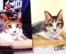 羊毛画であなたの猫ちゃんをそっくりに作ります どこにもない平面の羊毛アート！2L(13cm×18cm) イメージ3