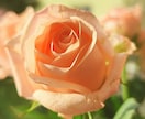現実忘れちゃお？ドキドキ♡なりきりチャットします 秘密の30分をあなたに♥️どんな私も演じます イメージ6