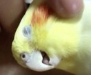 些細な愚痴〜どんな愚痴までもうかがいます 理不尽な世の中。吐き出して吐き出してスッキリしてください！ イメージ1