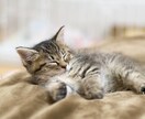 睡眠改善の実践法を教えます 眠りを変えて、仕事も生活も効率アップ！ イメージ4