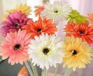 なんでもアリ♡話し相手になります 相談したい人、誰かと話したい人、私とお話ししませんか？ イメージ1
