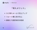 Shopify×Klaviyo で売れる設計します はじめてのKlaviyoでも安心!まるごとサポート イメージ3