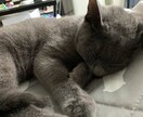 転職支援、就職支援致します 面接、履歴書対策、大手の紹介できます！追加費用頂きません！ イメージ2