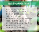 人生を困難にする原因のインナーチャイルドを癒します 幼少期のトラウマや毒親克服、前進を妨げる過去を解消 イメージ7