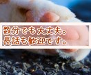 どんなお話でも、丁寧に聞きます カウンセリング技術を活かして、丁寧にじっくりお話を聞きます。 イメージ4