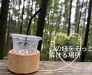 疲れた心にポジティブな元気をお渡します 話を聞いて褒めて褒めて褒めちぎっちゃいます♡ イメージ3