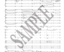 大編成編：高品質のデジタル楽譜を作成・浄書します パート数25までの曲を美しく弾きやすい楽譜にします イメージ2