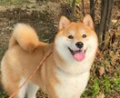 愚痴聞き、悩み・恋愛相談、話し相手、何でも聞きます あなたの気持ちを最優先!!秘密厳守！愚痴・雑談OK イメージ1