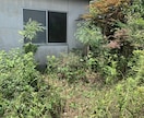 空き家の庭掃除！除草、庭木の剪定します 実家が！転勤で持ち家が！苦情が！を解決します。 イメージ2