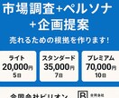 市場調査＋ペルソナ設定＋企画提案します 売れるための根拠を調査 提案致します イメージ2