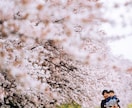 お気に入りの写真、甦らせます お写真のレタッチや余計な写り込みを消します！ イメージ6