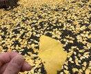 話したいこと、自分がお聞きします よければ僕に話してみませんか？ イメージ3