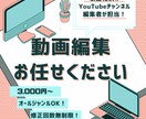 動画編集◆承ります YouTube / Instagram / TikTok イメージ1
