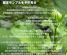 星読みでお子様の才能の種・考え方の傾向鑑定します ​【お試し価格】星占いで見る我が子の才能の種の芽吹かせ方 イメージ3