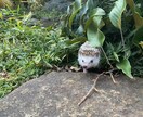 あらゆる物事をご一緒に考え人生の悩み解消します 自分の強みは誰もしない経験してきました。ご意見相談聞きます。 イメージ2