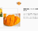 農家さんや個人事業主向けホームページ作成します 簡単におしゃれなホームページを作りたい方にお勧めしたいです！ イメージ5