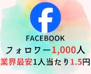 Facebookフォロワー1,000人増加します 【低価格・高品質・安全・素早く】 イメージ2