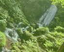 生年月日から1年の運勢やお悩みを鑑定します これから先のヒントを得ましょう！ イメージ1