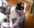 介護や家庭の事でお悩みの方のお話し伺います 今辛い！どうにかなりそう！そんな時は頼って下さい イメージ1