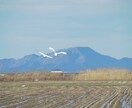 秋田県でロケーション写真代行します SNSへの投稿、まとめ作成の素材に！高画質をお安く提供します イメージ3