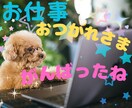 会社の人間関係✨転職活動✨現場の悩みお聴きします パワハラ/ハラハラ/人間関係☘️転職など話してストレス軽減 イメージ1