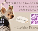 バナー・ヘッダー・SNS画像の制作を致します 見てもらいたいターゲットに合わせてWeb画像をご提案します イメージ7