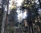 あなたにオススメの寺社仏閣おつたえします エネルギーチャージ・追い風に。メッセージ付き イメージ4