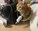 年は取ってみるもんだな。その心境をお伝えします 死にたいを含めて50年近くどうにかやってきてたどり着いた境地 イメージ3