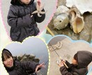 お子様や恋人、家族の写真を可愛くステキに加工します☆ イメージ3