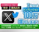 Twitterのインプレッション100万増やします 日本人アクティブユーザーの拡散であなたの影響力を即増加！ イメージ9