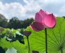 もっと気軽にアーユルヴェーダ！美容も健康も学べます 楽しく学ぶ！予防医学でデトックス&アンチエイジング イメージ1