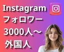 インスタの外国人フォロワーを増加します Instagramの複数垢に振り分け対応可能！ イメージ1
