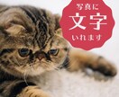 写真に文字いれます ＜バナーやブログヘッダーなどにおすすめ！＞ イメージ1